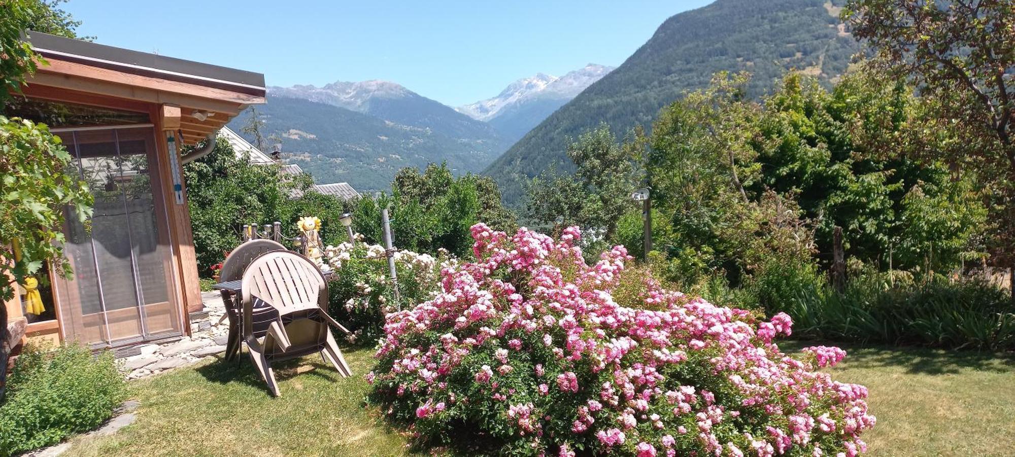 Avec Solarium *